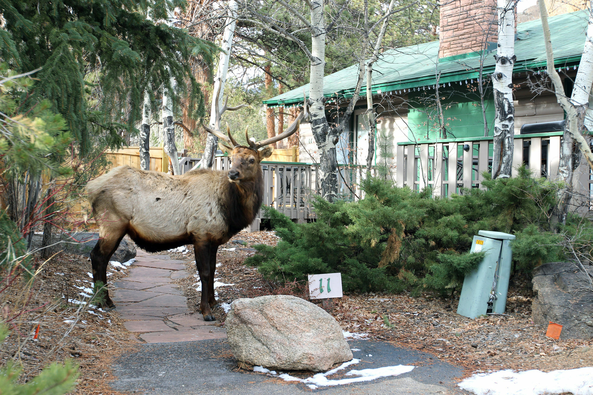 Sunnyside Knoll Resort Estes Park Exterior photo